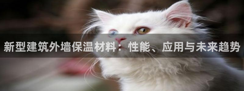 顺盈娱乐彩票官网