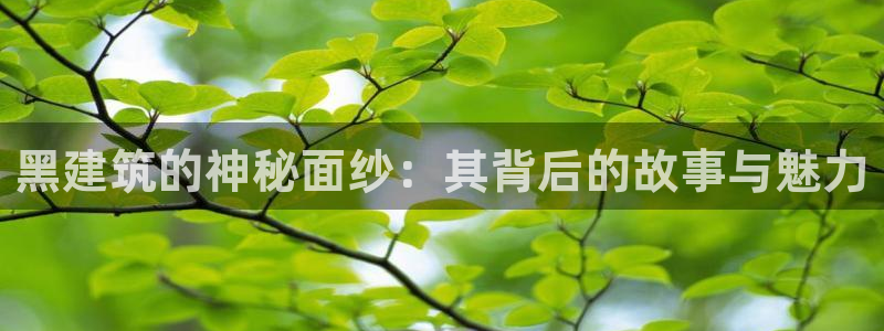 顺盈娱乐下载安装最新版