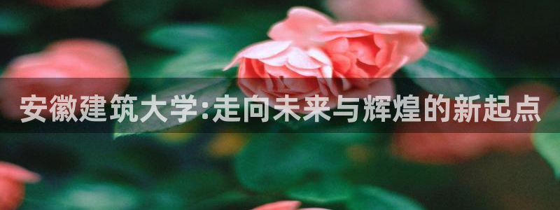 清城区顺盈娱乐会所地址