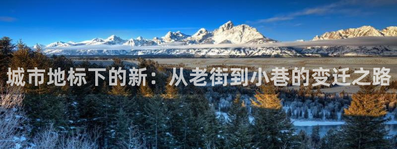 顺盈娱乐是什么福彩
