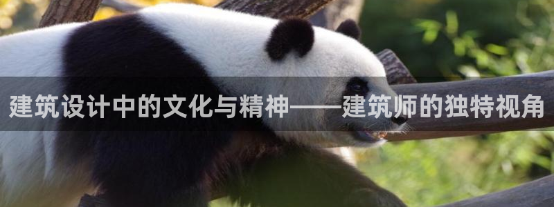 盈顺棋牌娱乐室怎么样啊：建筑设计中的文化与精神——建筑师的独特视角