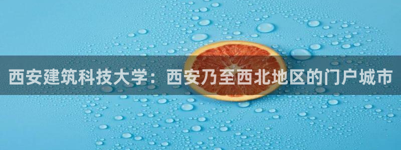顺盈娱乐下载官网
