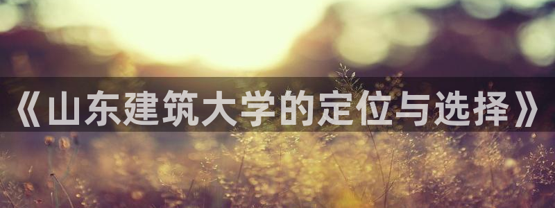 顺盈平台娱乐怎么样