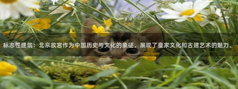 清远清城区顺盈娱乐：标志性建筑：北京故宫作为中国历史与文化的象征，展现了皇家文化和古建艺术的魅力。