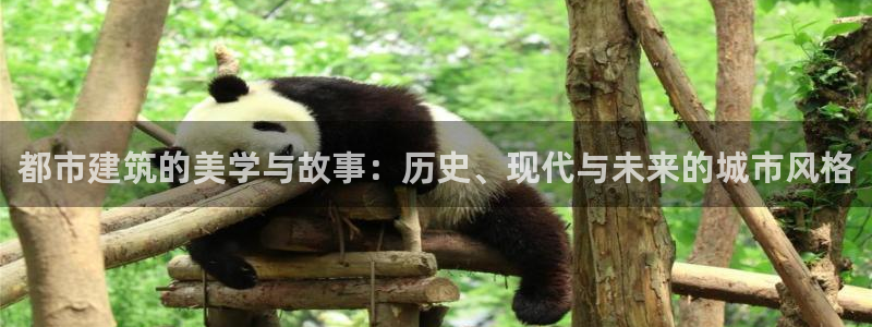 顺盈2娱乐登录平台