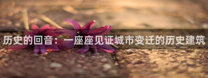 顺盈娱乐招商部听判官333OO