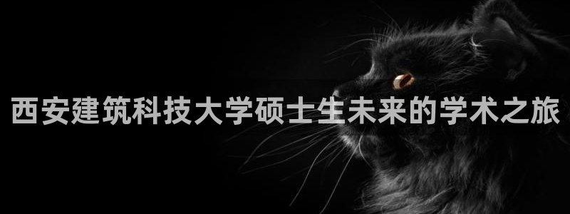 顺盈娱乐2