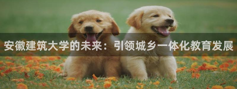 顺盈娱乐最高代理是谁呀
