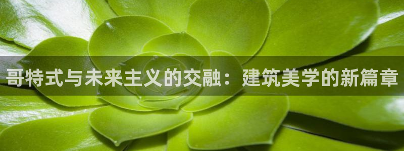 顺盈娱乐代理怎么样