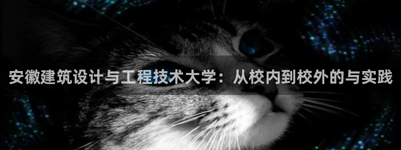 顺盈娱乐平台最新活动