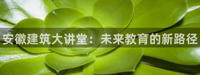 清远顺盈广场娱乐公司