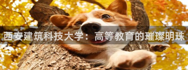 顺盈娱乐在线开户怎么样：西安建筑科技大学：高等教育的璀璨明珠