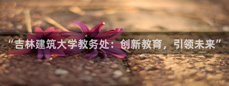 顺盈娱乐怎么退款